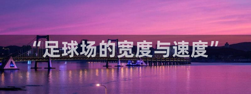 “足球场的宽度与速度”