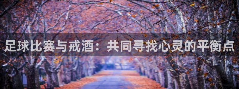  足球比赛与戒酒：共同寻找心灵的平衡点
