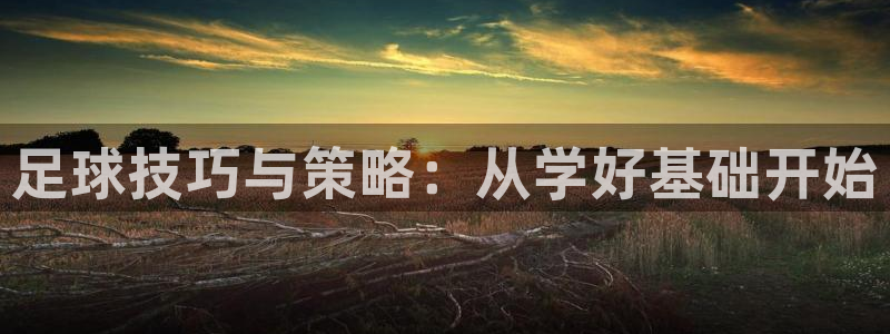 足球技巧与策略：从学好基础开始