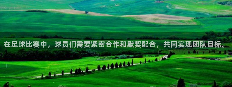 在足球比赛中，球员们需要紧密合作和默契配合，共同实现团队目标