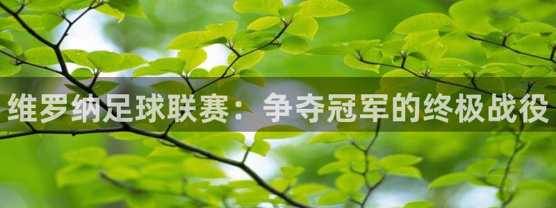 维罗纳足球联赛：争夺冠军的终极战役