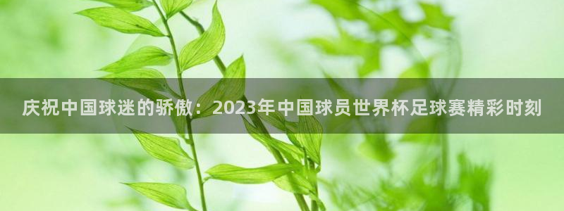 庆祝中国球迷的骄傲：2023年中国球员世界杯足球赛精彩时刻