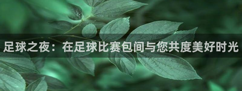  足球之夜：在足球比赛包间与您共度美好时光