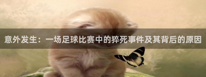 意外发生：一场足球比赛中的猝死事件及其背后的原因