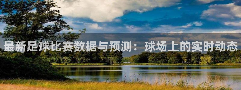  最新足球比赛数据与预测：球场上的实时动态