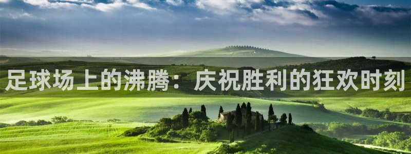  足球场上的沸腾：庆祝胜利的狂欢时刻