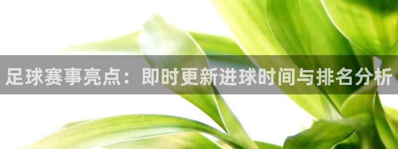 足球赛事亮点：即时更新进球时间与排名分析