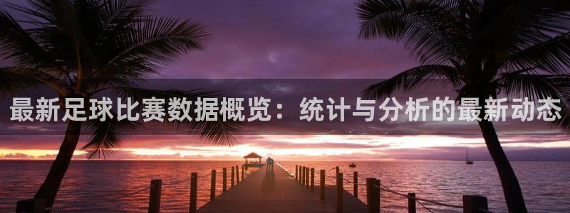  最新足球比赛数据概览：统计与分析的最新动态
