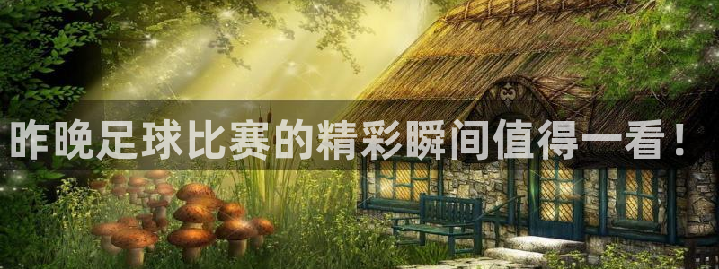  昨晚足球比赛的精彩瞬间值得一看！