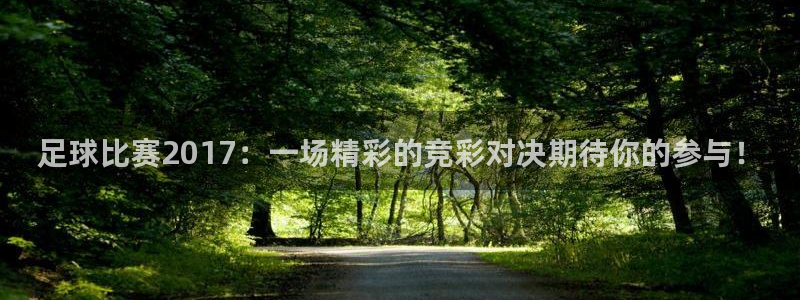 足球比赛2017：一场精彩的竞彩对决期待你的参与！