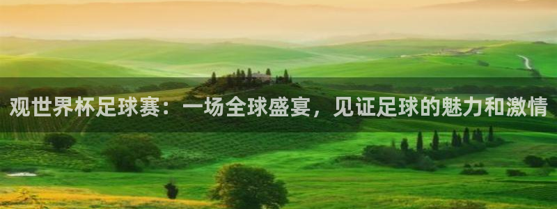  观世界杯足球赛：一场全球盛宴，见证足球的魅力和激情