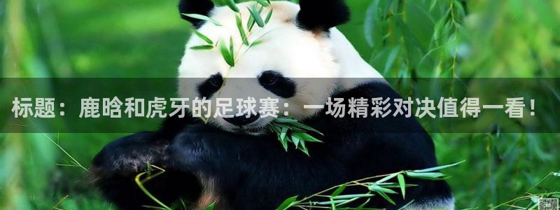  标题：鹿晗和虎牙的足球赛：一场精彩对决值得一看！
