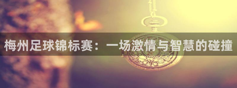  梅州足球锦标赛：一场激情与智慧的碰撞