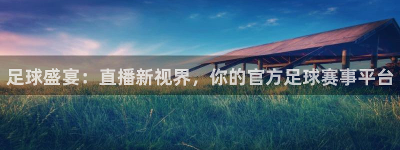 足球盛宴：直播新视界，你的官方足球赛事平台