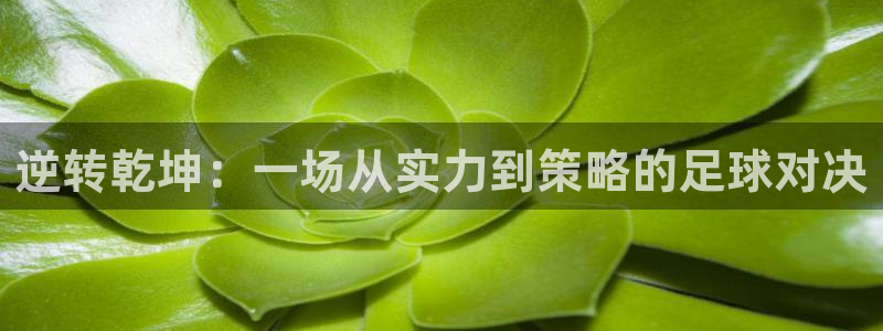  逆转乾坤：一场从实力到策略的足球对决