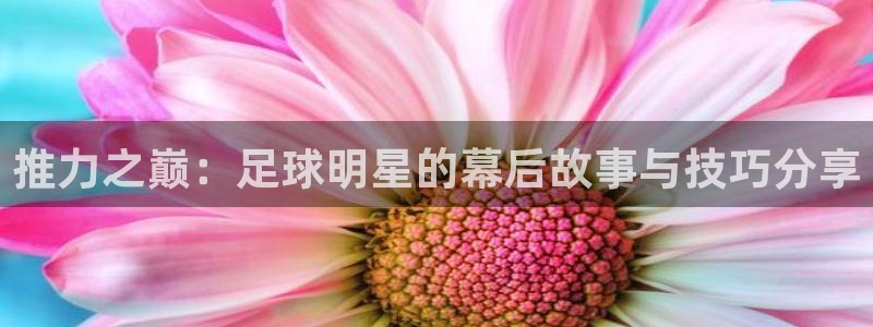  推力之巅：足球明星的幕后故事与技巧分享