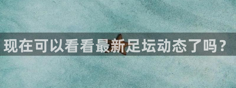 现在可以看看最新足坛动态了吗？