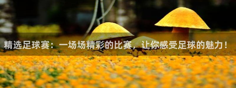  精选足球赛：一场场精彩的比赛，让你感受足球的魅力！
