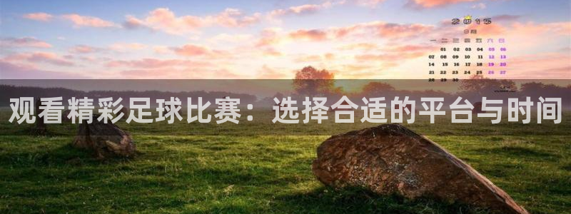  观看精彩足球比赛：选择合适的平台与时间