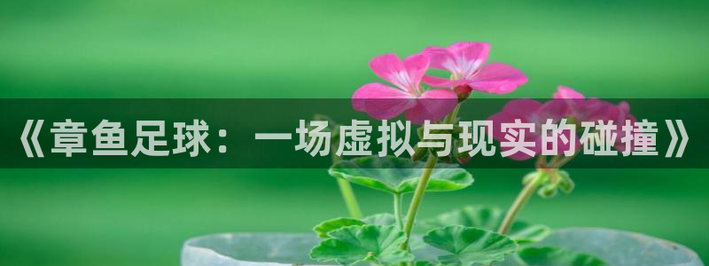  《章鱼足球：一场虚拟与现实的碰撞》
