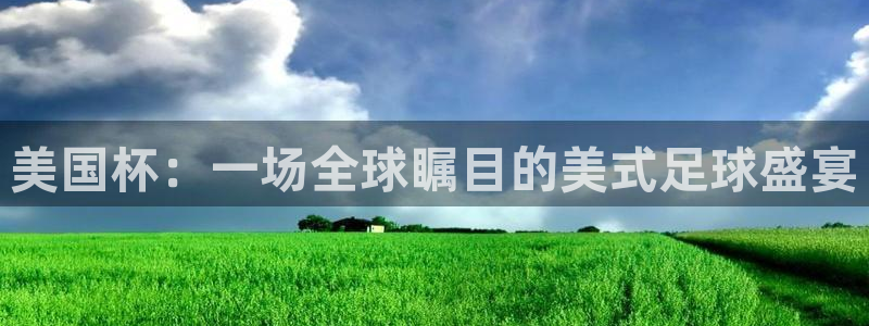 美国杯：一场全球瞩目的美式足球盛宴