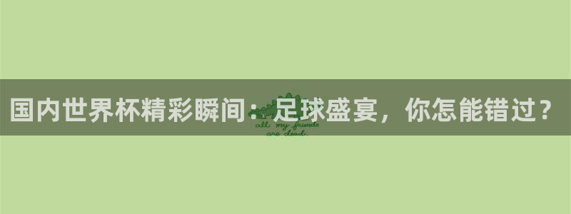  国内世界杯精彩瞬间：足球盛宴，你怎能错过？