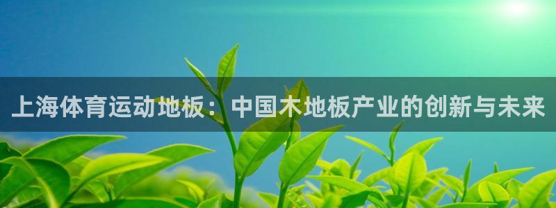 678体育官网地址：上海体育运动地板：中国木地板产业的创新与未来