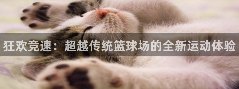 678体育官网地址：狂欢竞速：超越传统篮球场的全新运动体验