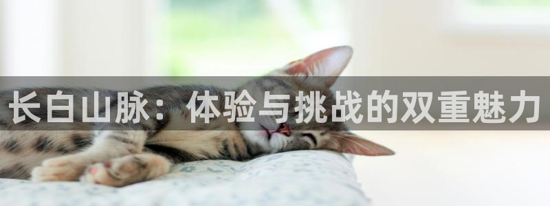 678体育官网地址：长白山脉：体验与挑战的双重魅力