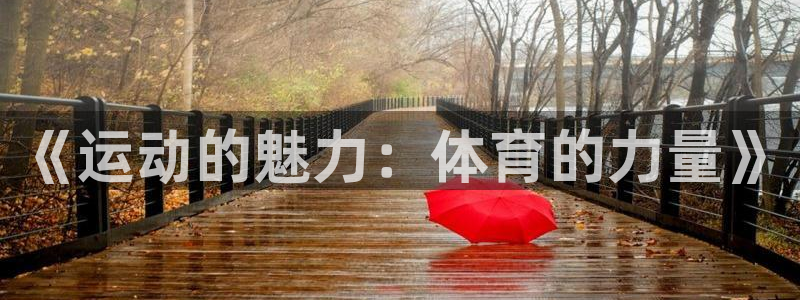 678体育app：《运动的魅力：体育的力量》