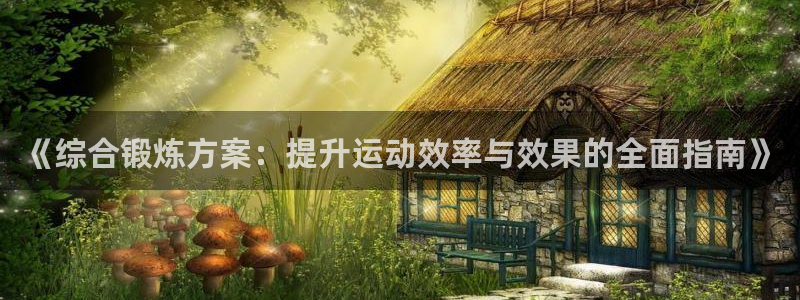 678体育知识：《综合锻炼方案：提升运动效率与效果的全面指南》