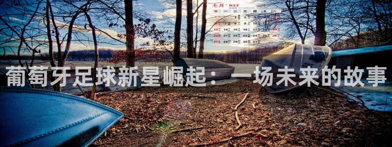 葡萄牙足球新星崛起：一场未来的故事