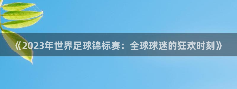 《2023年世界足球锦标赛：全球球迷