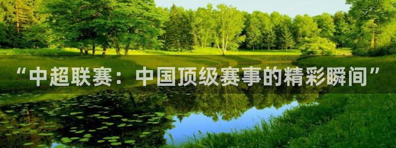 “中超联赛：中国顶级赛事的精彩瞬间”