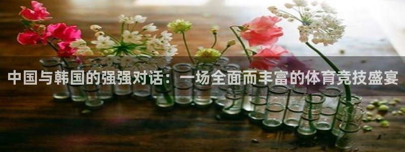 中国与韩国的强强对话：一场全面而丰富