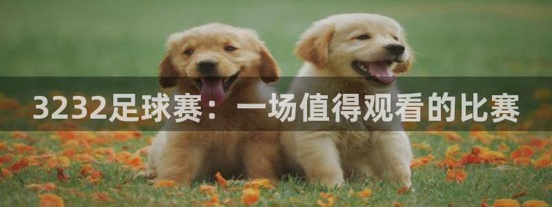 3232足球赛：一场值得观看的比赛