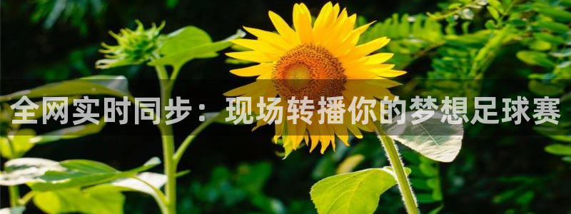 全网实时同步：现场转播你的梦想足球赛