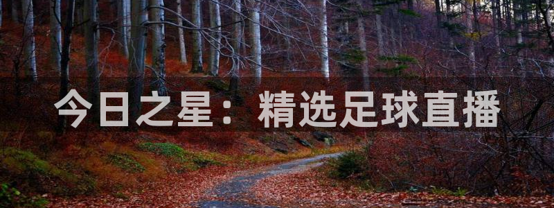 今日之星：精选足球直播