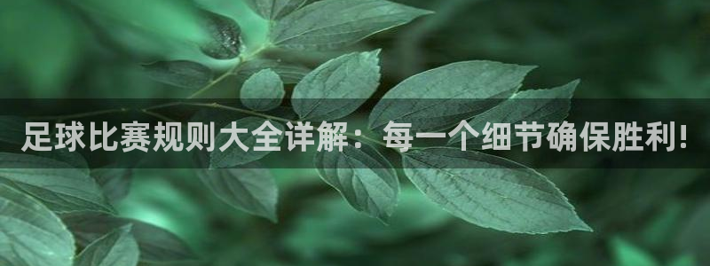 足球比赛规则大全详解：每一个细节确保