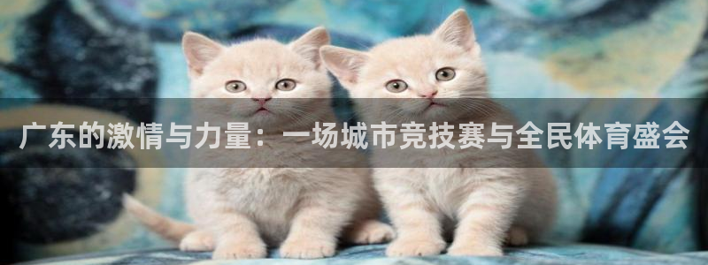 广东的激情与力量：一场城市竞技赛与全