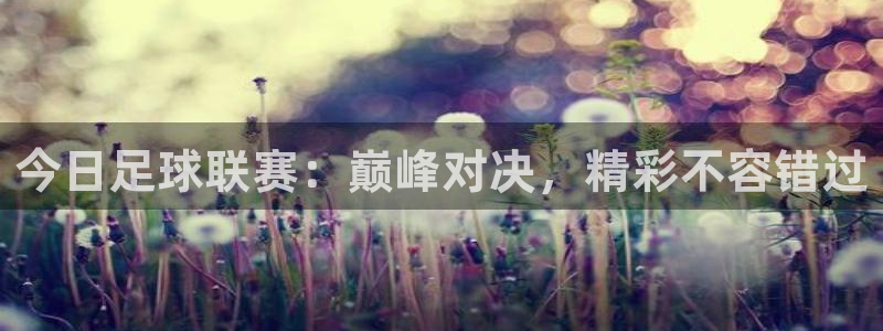 今日足球联赛：巅峰对决，精彩不容错过